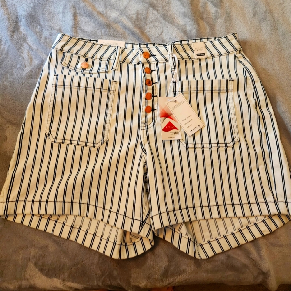 Judy Blue shorts, size 1XL